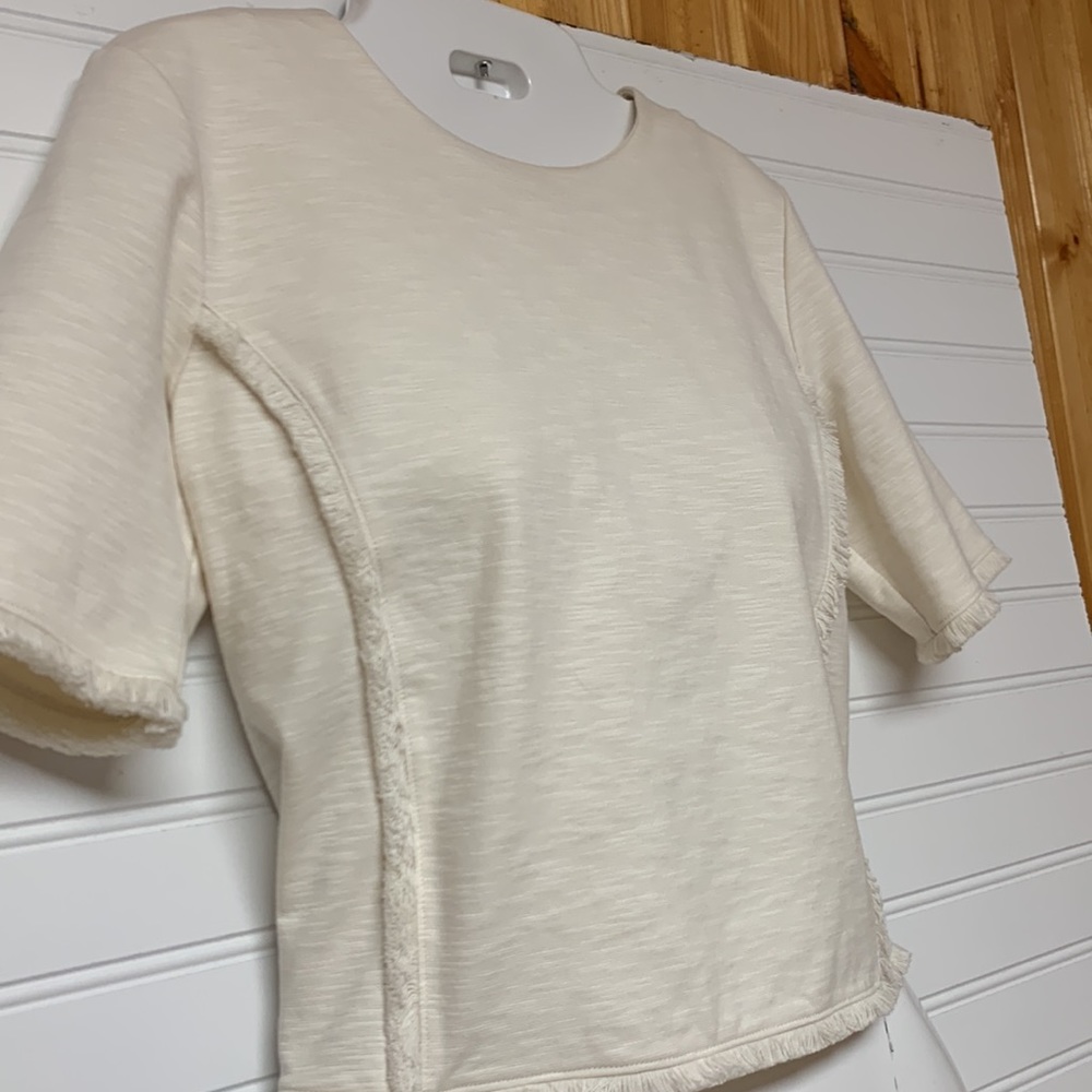 NWT Banana Republic Cropped Tee XS